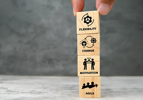 Adaptability and agility